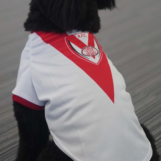 Saints Home Dog Jersey