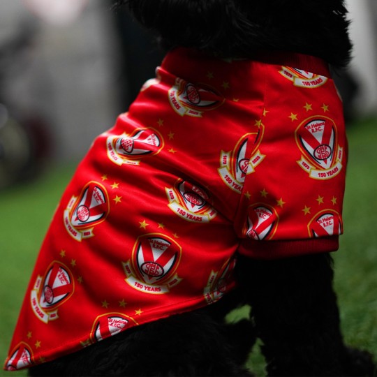 Saints Dog Away Jersey